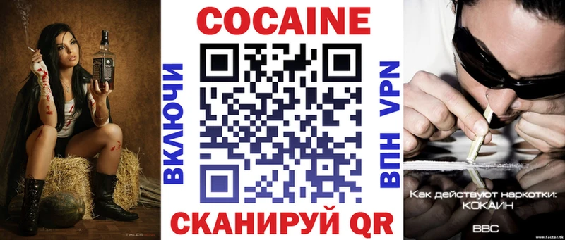 где найти наркотики  Новодвинск  КОКАИН FishScale 