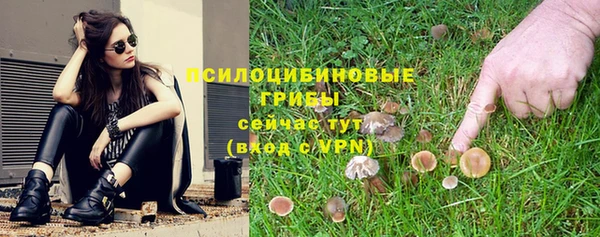 винт Баксан