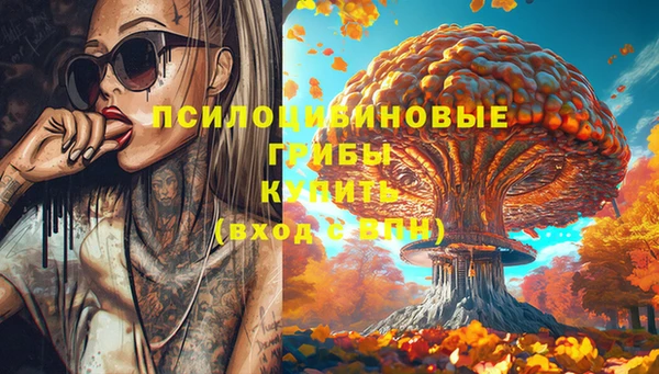 apvp Арсеньев