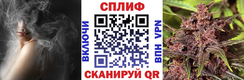 Конопля сатива Новодвинск